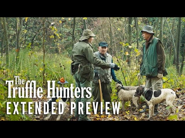 image 0 The Truffle Hunters – Extended Preview : Now On Digital & Blu-ray